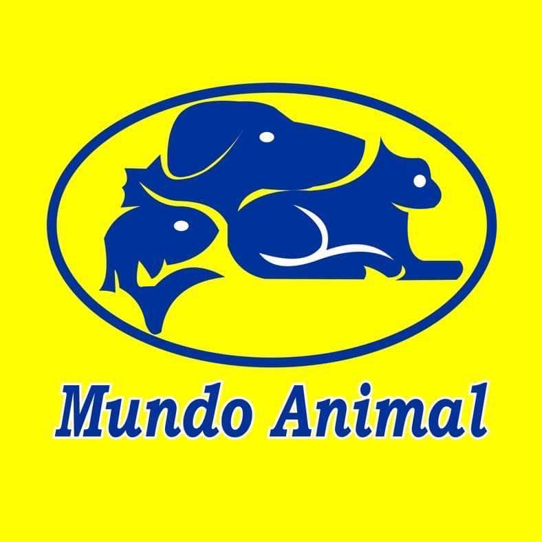Q3 Mundo Animal 